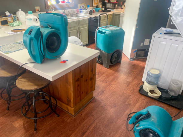 Best 24-hour water damage restoration  in Greenville, RI