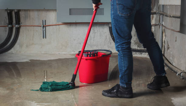 Best Flood damage cleanup  in Greenville, RI