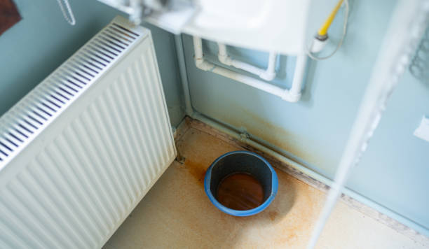Best Water damage cleanup near me  in Greenville, RI